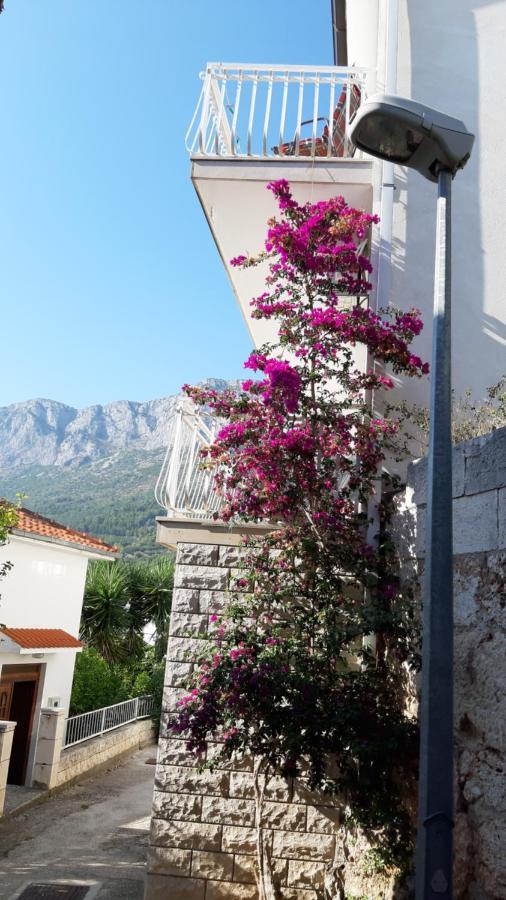 Apartmani Lara Gradac  Exterior foto